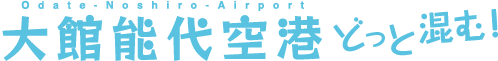 大館能代空港どっと混む！