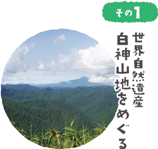 世界自然遺産 白神山地をめぐる