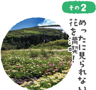 めったに見られない花を満喫！