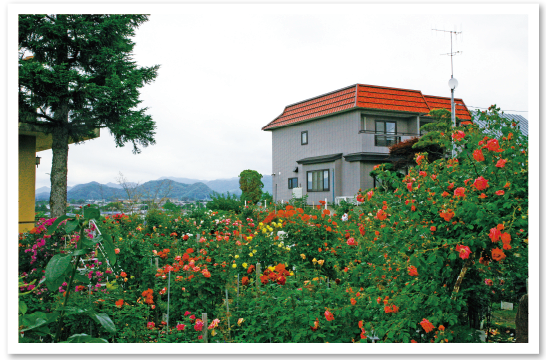 石田ローズガーデン