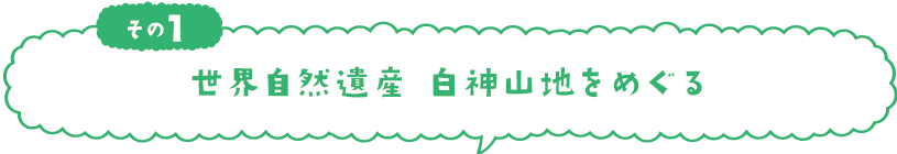 世界自然遺産 白神山地をめぐる