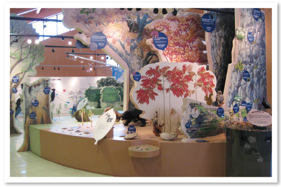 白神山地世界遺産センター（藤里館）