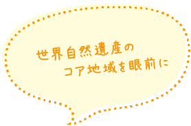 世界自然遺産のコア地域を眼前に