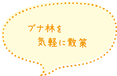 ブナ林を気軽に散策
