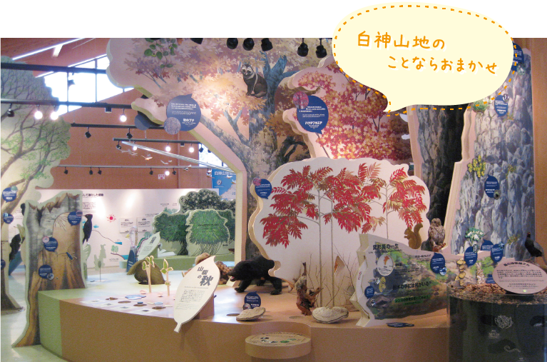 白神山地のことならおまかせ