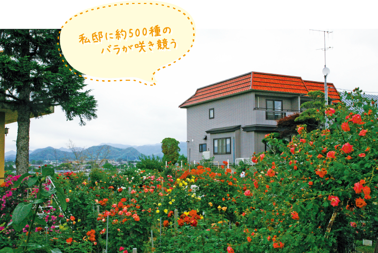 私邸に約500種のバラが咲き競う