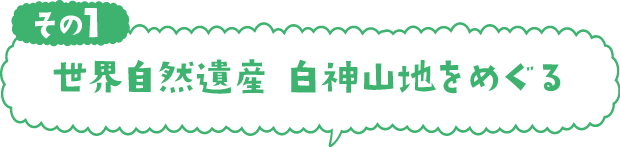 世界自然遺産 白神山地をめぐる