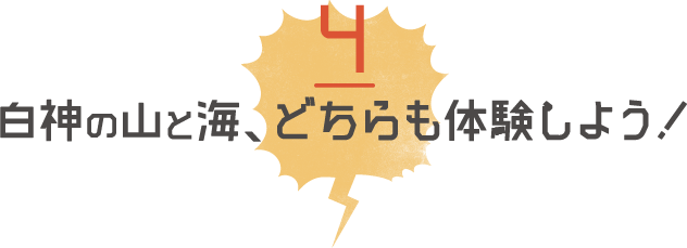 白神の山と海、どちらも体験しよう！