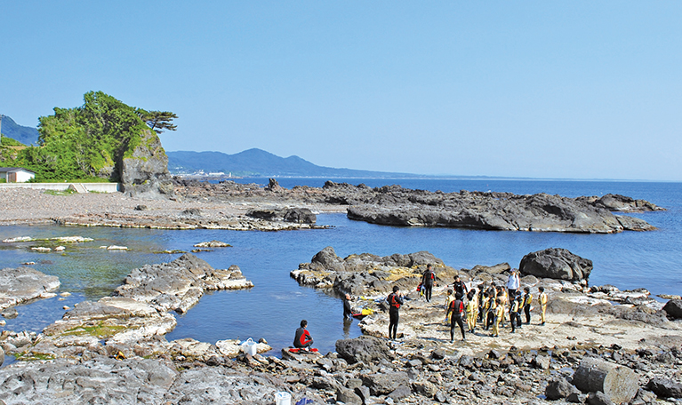 白神の山と海、どちらも体験しよう！