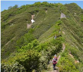 藤里駒ヶ岳