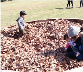 素波里紅葉まつり