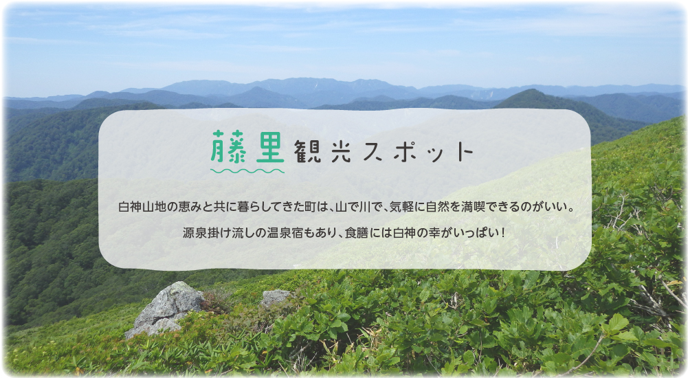 藤里観光スポット