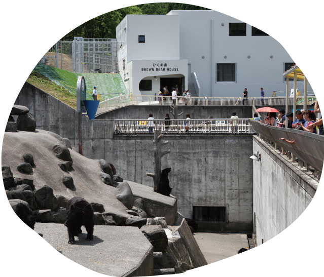 阿仁熊牧場「くまくま園」