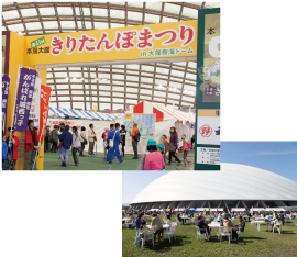 本場大館きりたんぽまつり