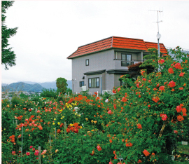 石田ローズガーデン