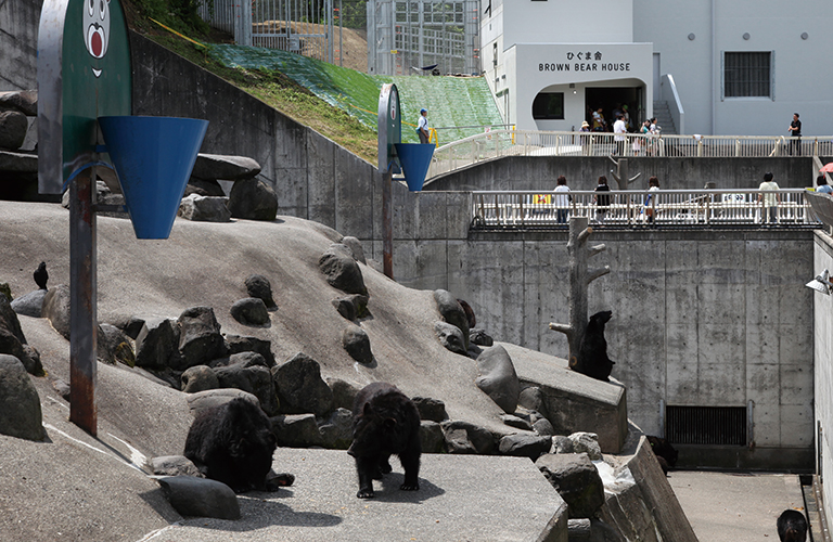 大館能代空港利用促進協議会 周辺観光情報 阿仁熊牧場 くまくま園